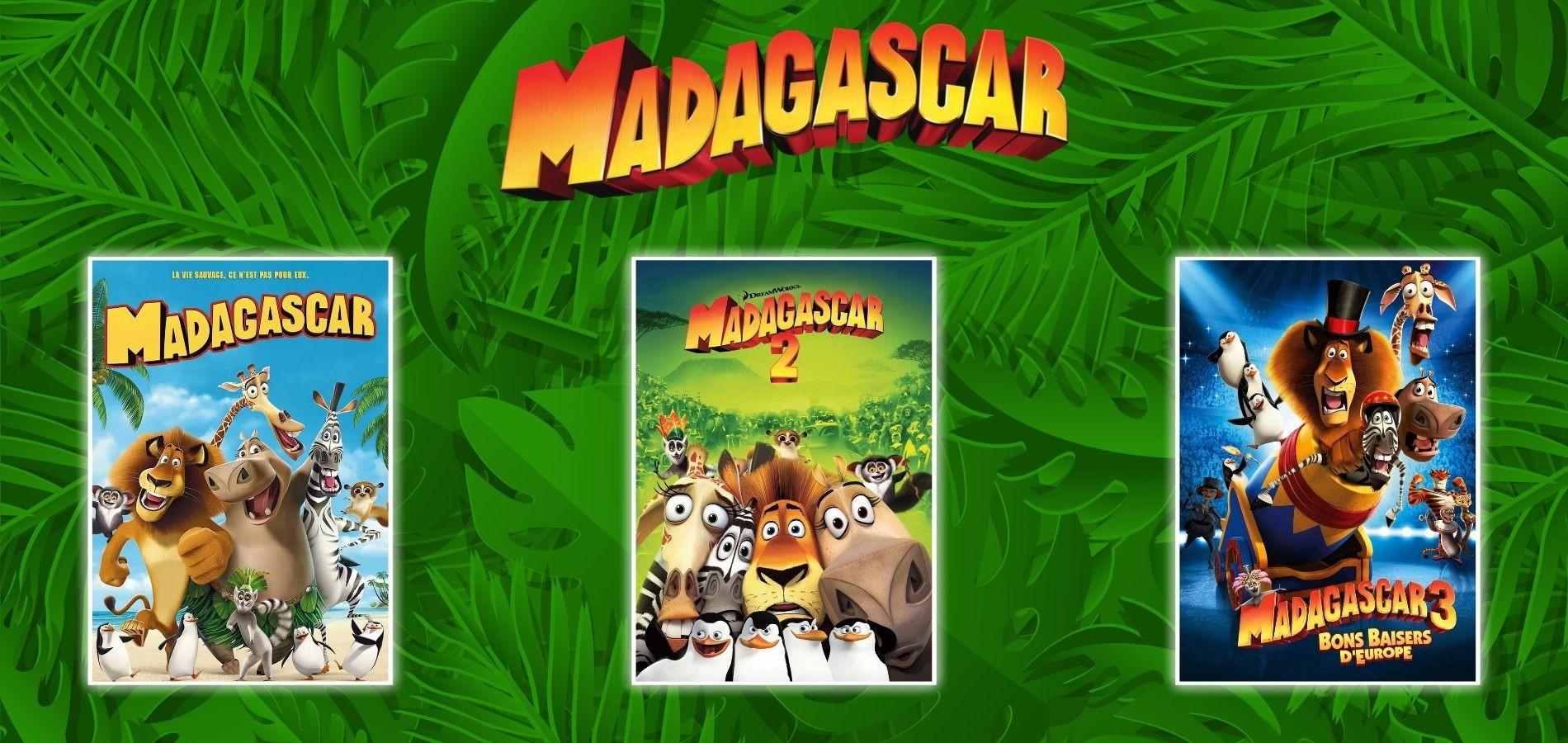 actualité Saga Madagascar
